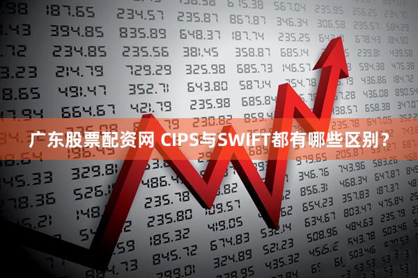 广东股票配资网 CIPS与SWIFT都有哪些区别？
